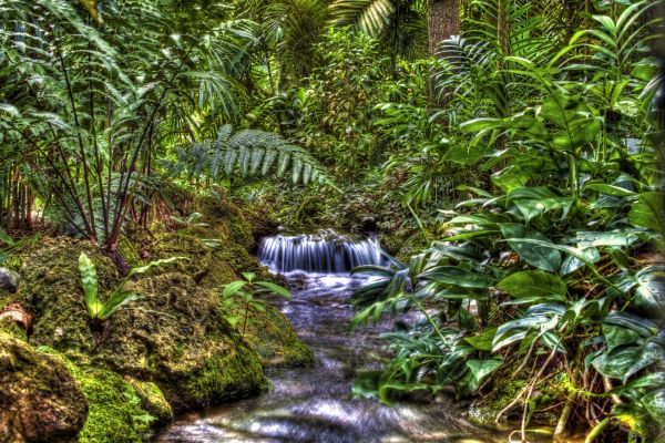 Small waterfall 